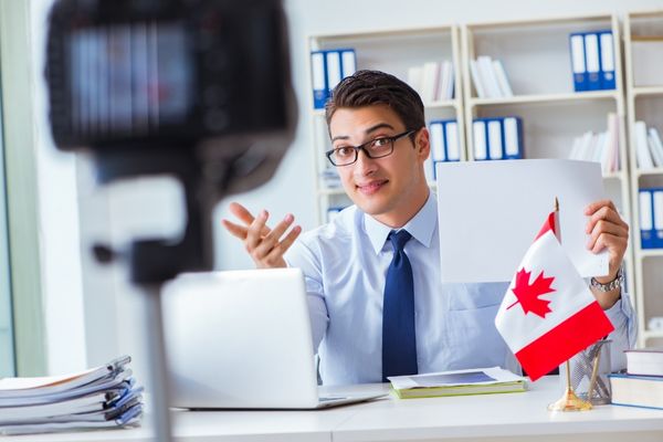 Immigration consultant